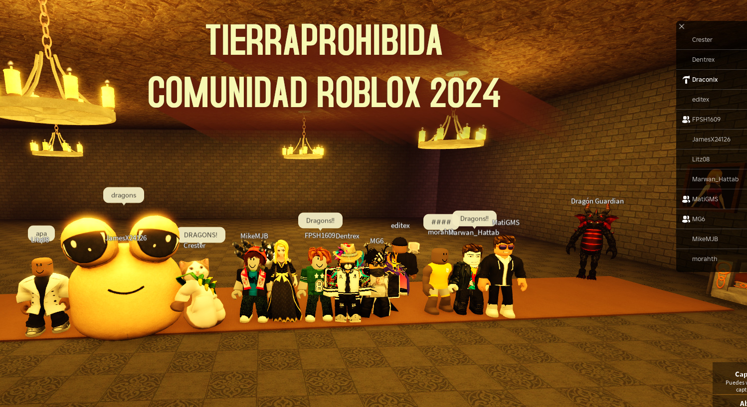 Foto Comunidad Roblox 2024